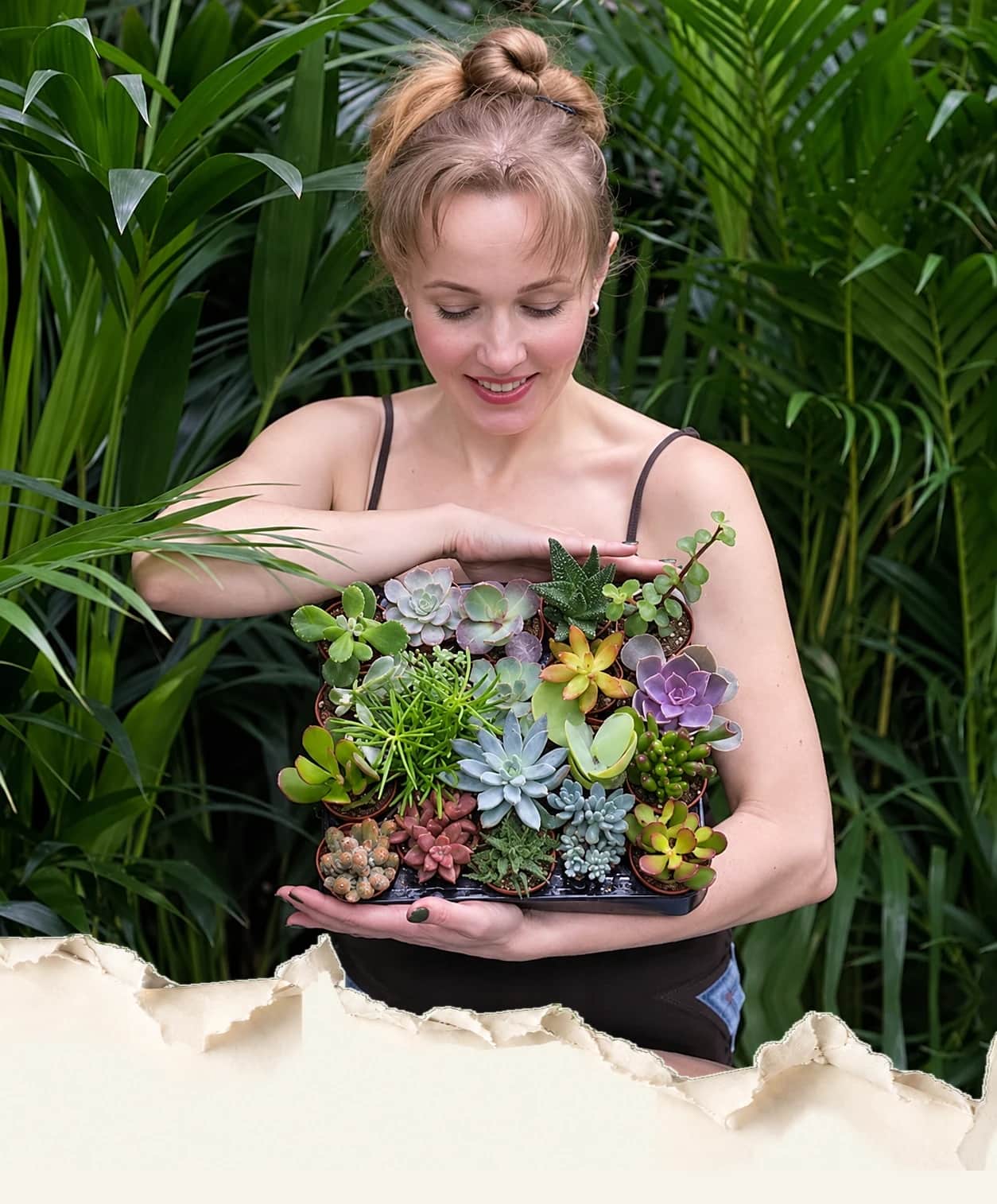 A grower holding a tray of colourful succulents in a greenhouse